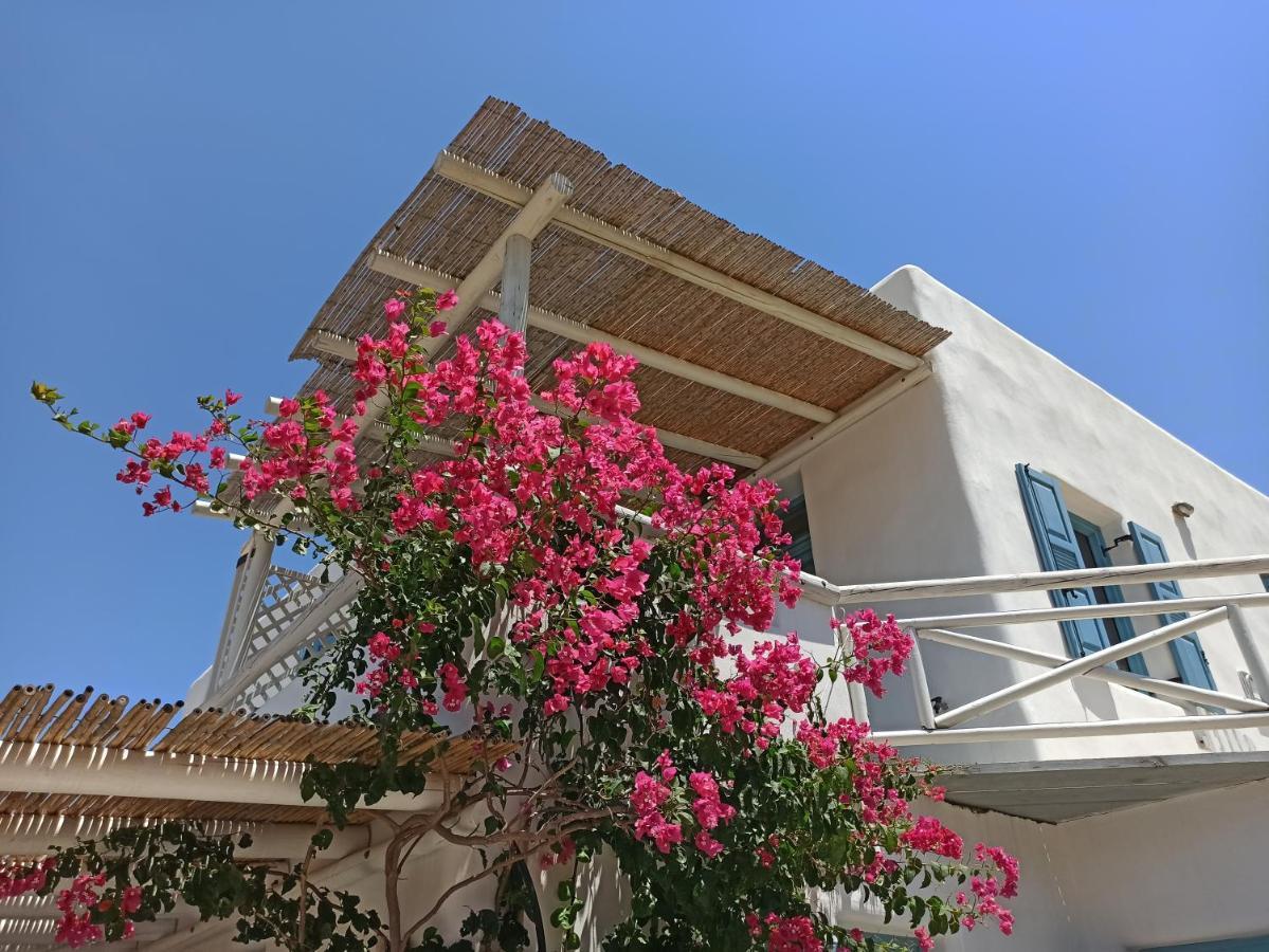 Kykladonisia Amorgos Værelse billede